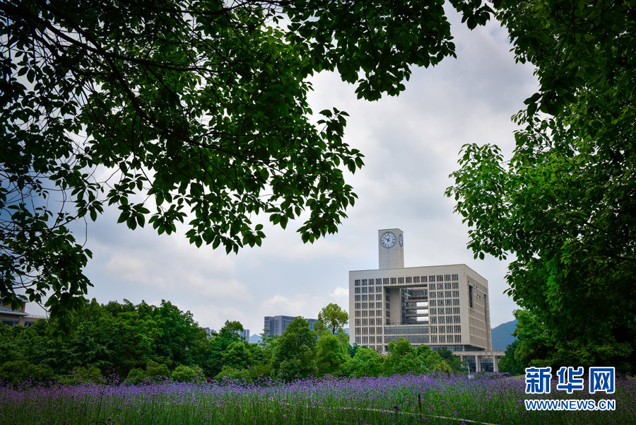 重師校園里的“紫色國度”。重慶師范大學(xué)宣傳部供圖